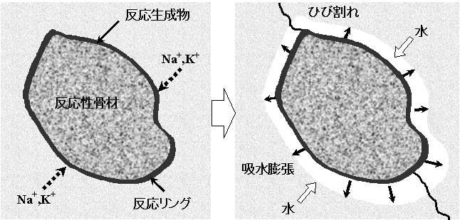 図1.1-1 アルカリ骨材反応のメカニズム