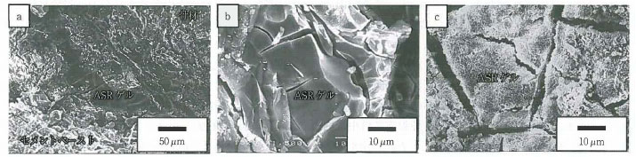 図-7 リチウムイオンを内部圧入したASRゲル試料のSEM写真 