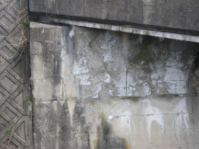 写真02 | 滝谷川橋　（橋台2基）| 施工実績 | ASRリチウム工法協会