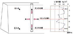 リチウムイオンの分布状況|亜硝酸リチウム高圧注入によるアルカリ骨材反応 抑制効果の検証