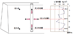 リチウムイオンの分布状況｜亜硝酸リチウム高圧注入によるアルカリ骨材反応 抑制効果の検証